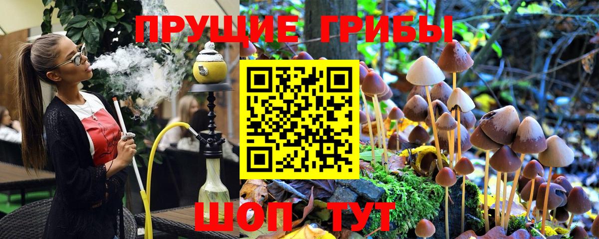 Галлюциногенные грибы Psilocybe Каспийск