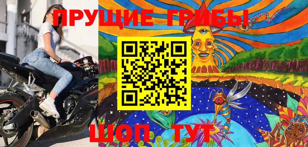 Галлюциногенные грибы Psilocybe  Каспийск 