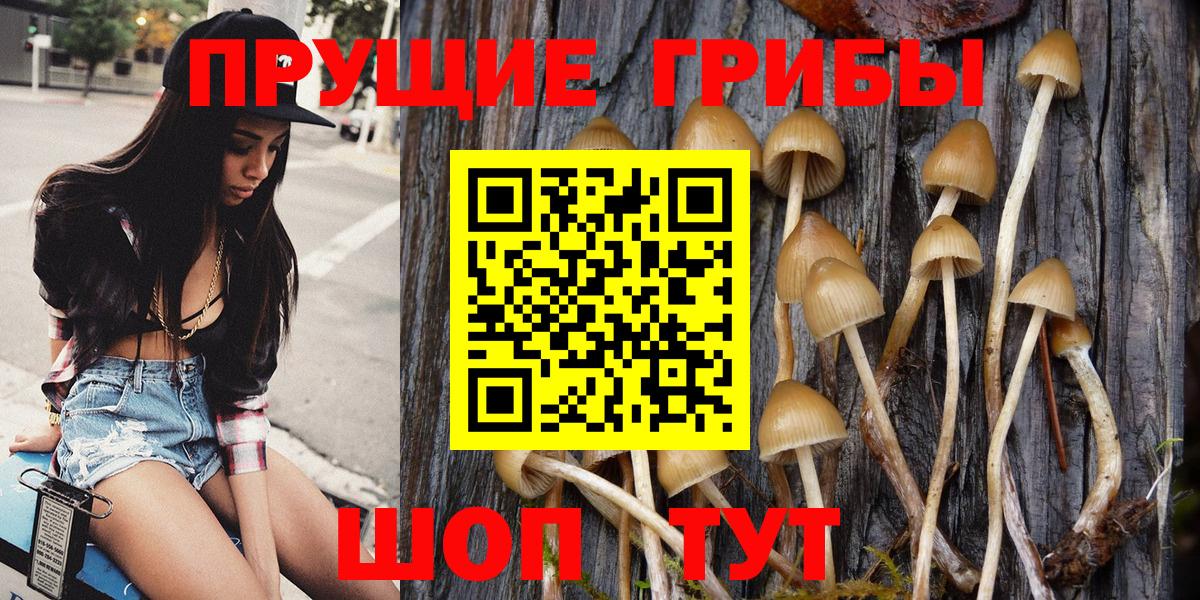 Галлюциногенные грибы прущие грибы Каспийск